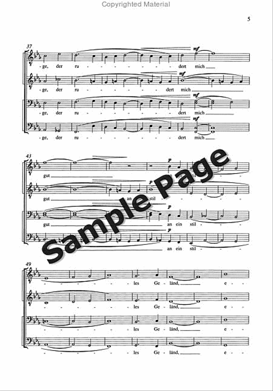 Durch Einsamkeiten TTBB scores gallery preview page 6