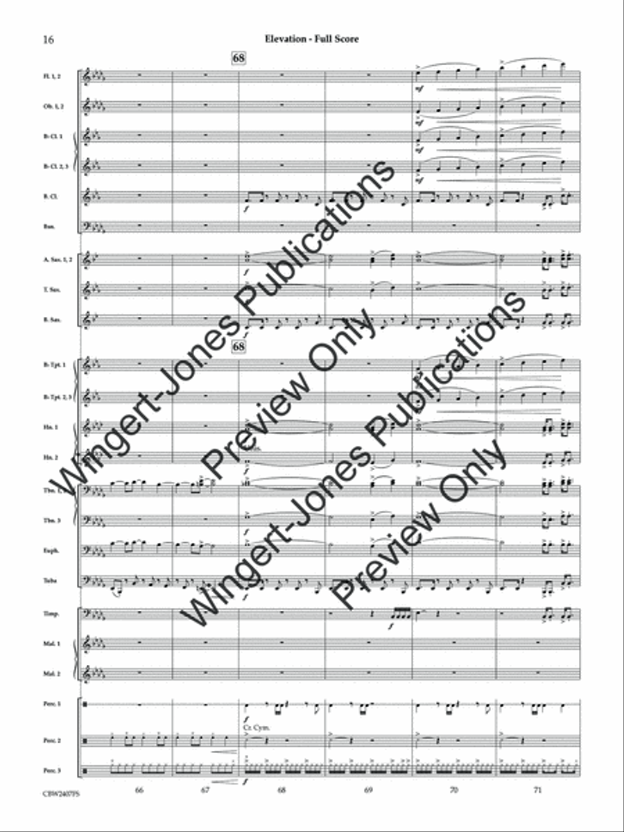 Elevation (Score) Concert Band scores gallery preview page 17
