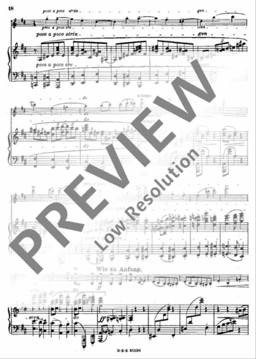 Grillen Violin Solo scores gallery preview page 18