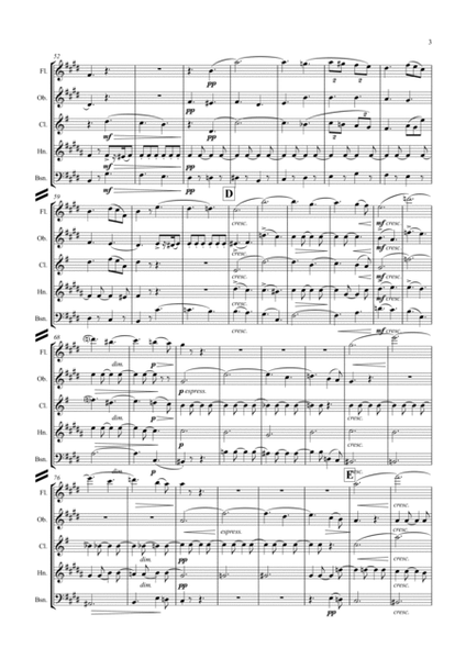 Elgar: Serenade for Strings Op.20 Mvt.1 Allegro - wind quintet image number null