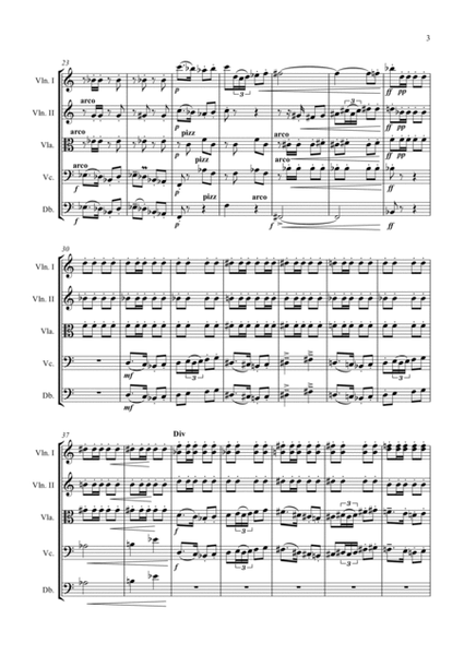 Sea Shanty Dance, for String Orchestra (Standard Arrangement) image number null