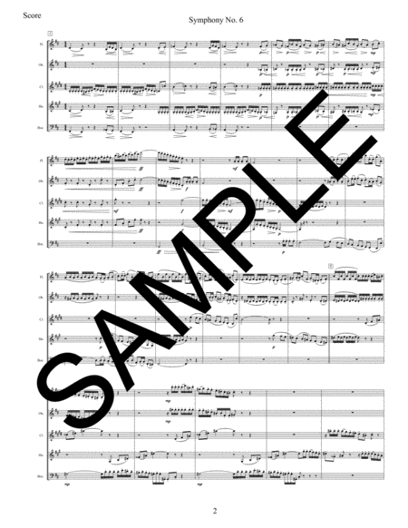 Symphony No. 6 - 1st Movement for Woodwind Quintet image number null