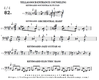 YELLAGOOCH-ENTRANCE COUNSELING & THE ELECTRONIC RUN BAND