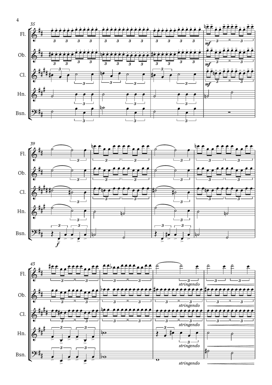 Top 5 Beautiful Classical Themes for Woodwind Quintet - 1st Version Woodwind Quintet scores gallery preview page 6
