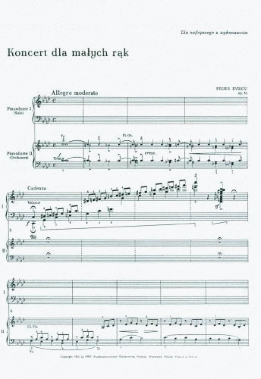Concerto For Small Hands Op. 53 Piano Accompaniment scores gallery preview page 1