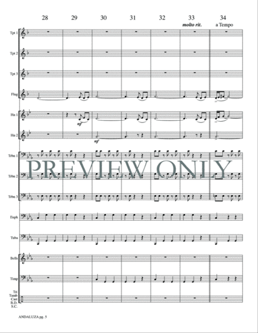 Andaluza Small Ensemble scores gallery preview page 7