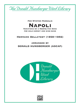 Book cover for Napoli