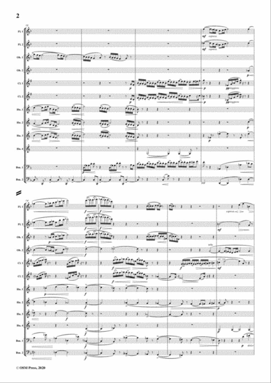 Berger-Serenade,Op.102.for Twelve Winds Woodwind Quintet scores gallery preview page 4
