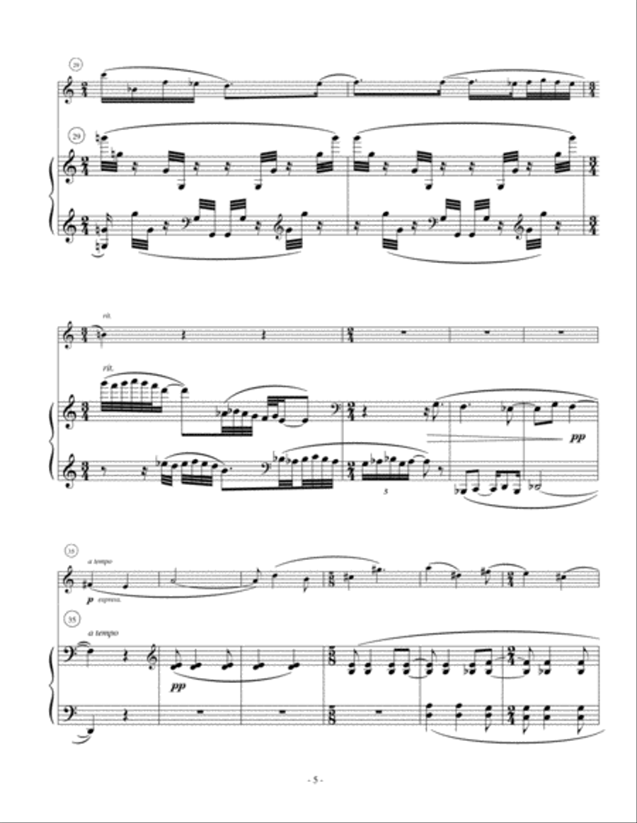 Soliloquy and Rondo Soliloquy and Rondo Flute Solo scores gallery preview page 5
