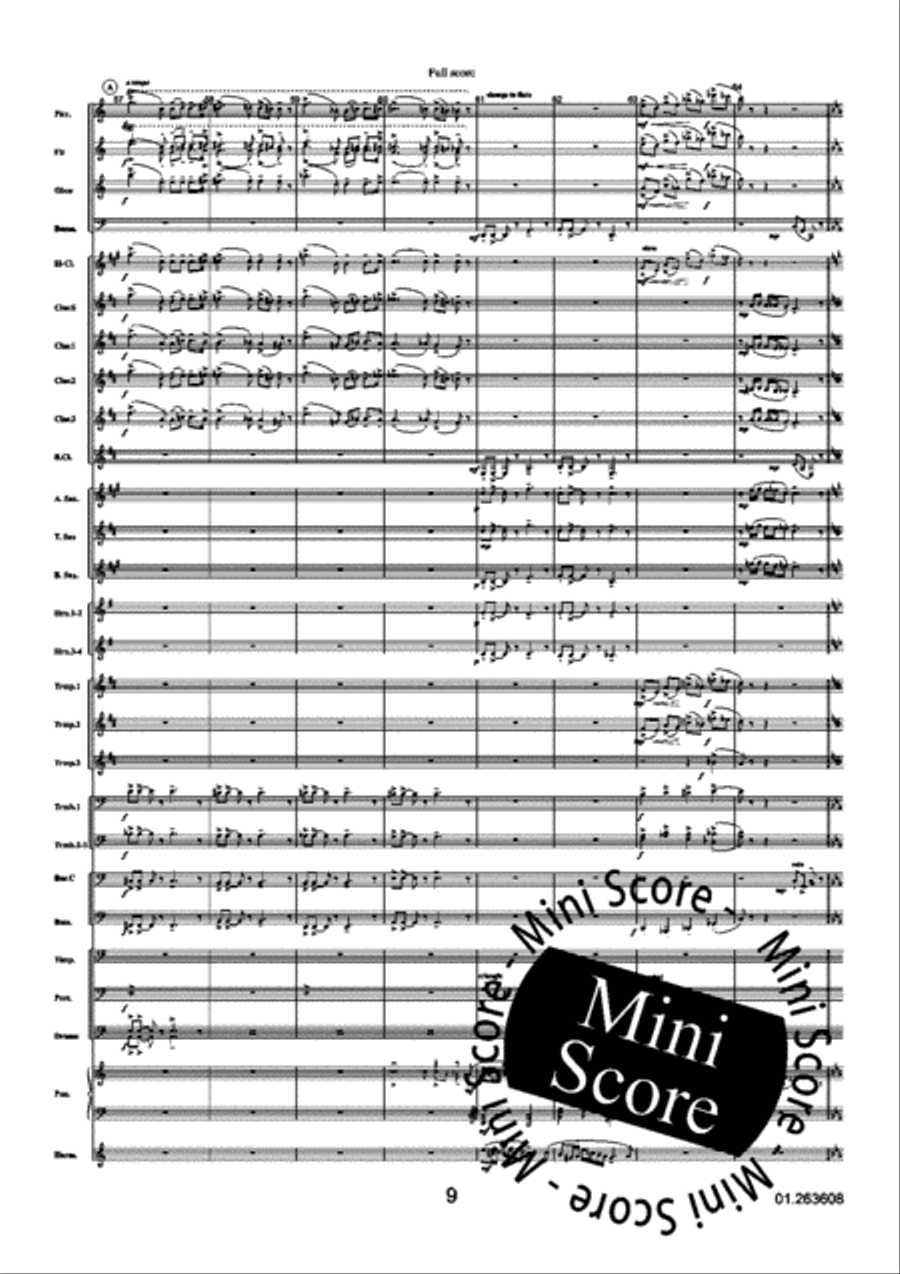 Three Grey Tango's Three Grey Tango's Concert Band scores gallery preview page 13