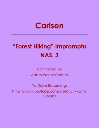 "Forest Hiking" Impromptu NAS. 3
