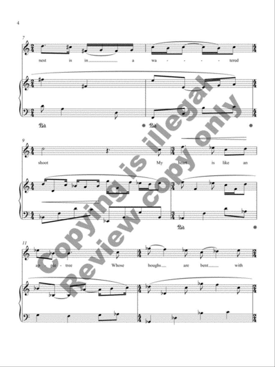 Christina's World Soprano Voice scores gallery preview page 6