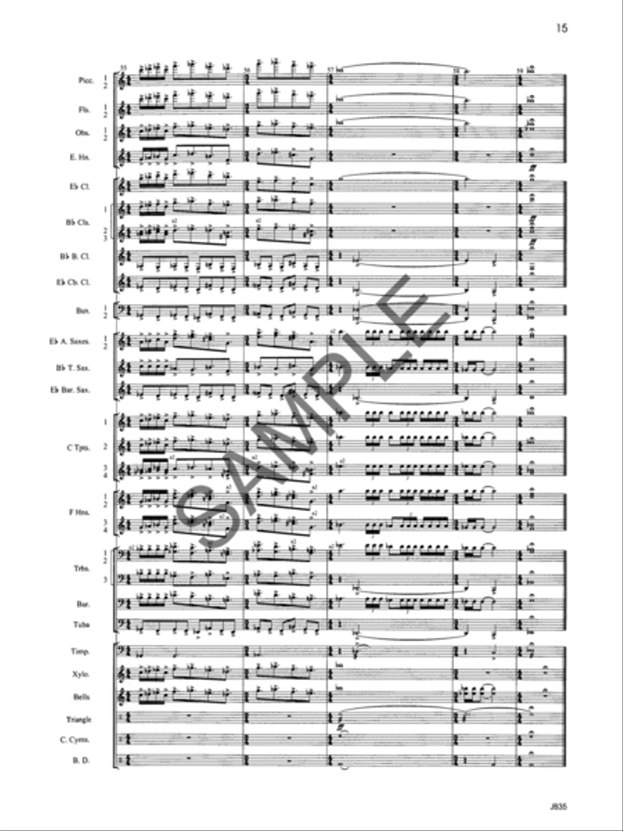 Aubrey Fanfare - Score Concert Band scores gallery preview page 28
