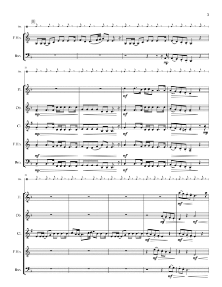 Wellerman - #SHANTYTOK for Woodwind Quintet image number null