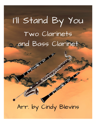 Book cover for I'll Stand By You