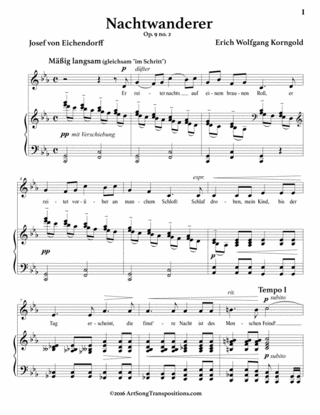 Nachtwanderer, Op. 9 no. 2 (C minor)