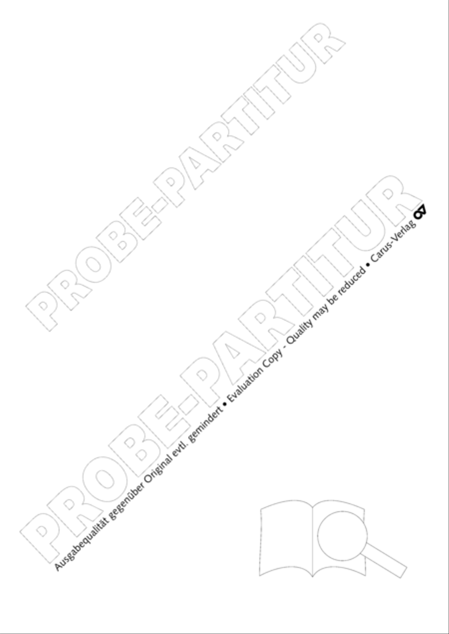 Flute concerto in D major (Flotenkonzert in D) Flute scores gallery preview page 28