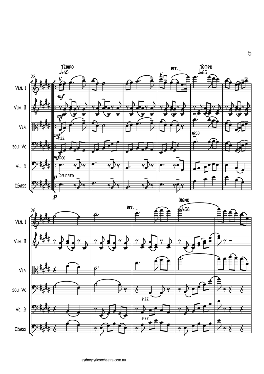 Nightingale Serenade - Toselli - String Chamber Orchestra - 6 parts - intermediate to professional e Chamber Orchestra scores gallery preview page 5
