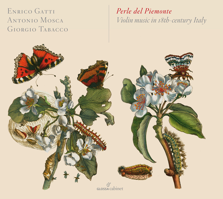 Perle del Piemonte - Violin music in 18th-century Italy image number null