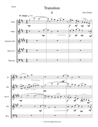 Transition II: Part II of a 3 movement Woodwind Quintet