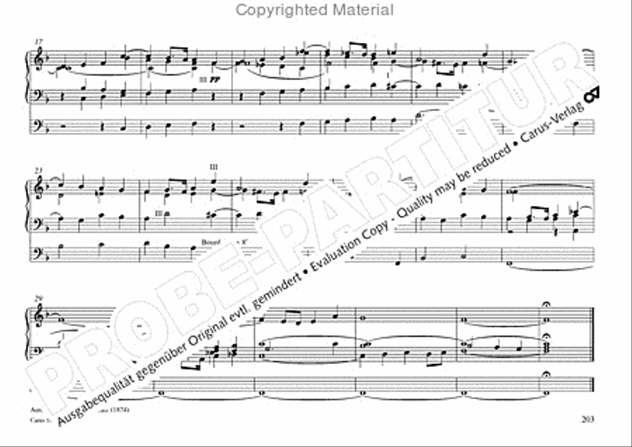 Freiburger Orgelbuch: Stammteil Organ Solo scores gallery preview page 204