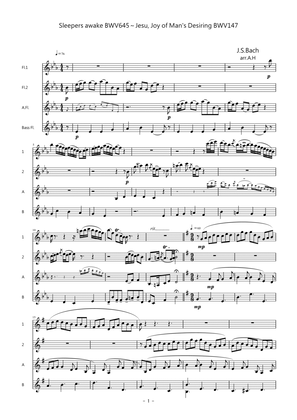 Sleepers awake BWV645～Jesu, Joy of Man's Desiring BWV147