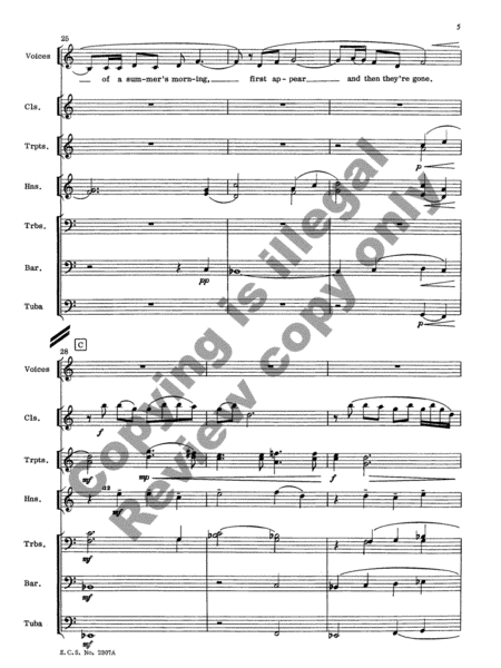 Serenade No. 2 (Full Score & Parts)