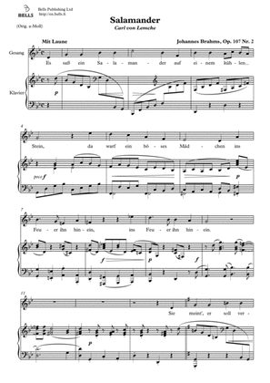Book cover for Salamander, Op. 107 No. 2 (G minor)
