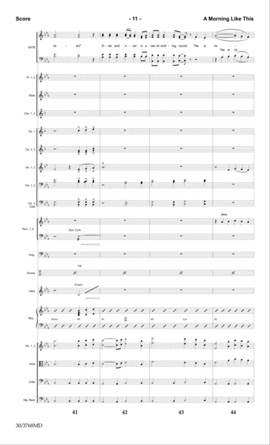 A Morning Like This - Orchestral Score and CD with Printable Parts Choir scores gallery preview page 13