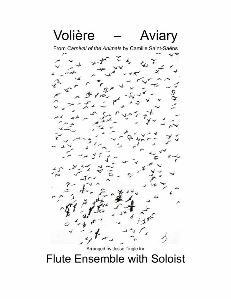 Volière - Aviary from Carnival of the Animals Flute Choir scores gallery preview page 1