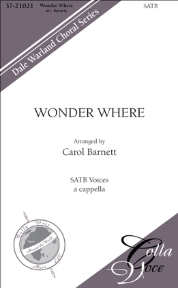 Book cover for Wonder Where