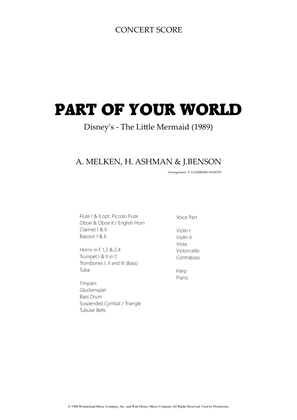 Book cover for Part Of Your World