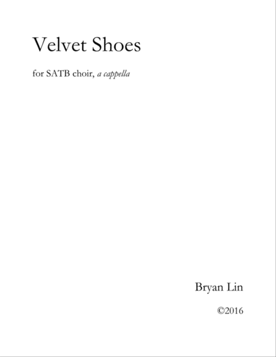 Velvet Shoes