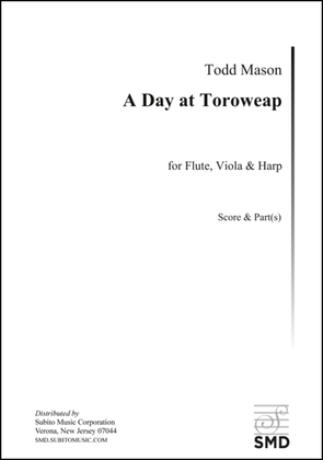 A Day at Toroweap