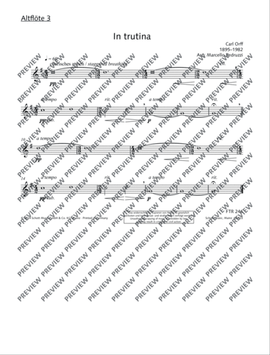 In trutina Flute Choir scores gallery preview page 13