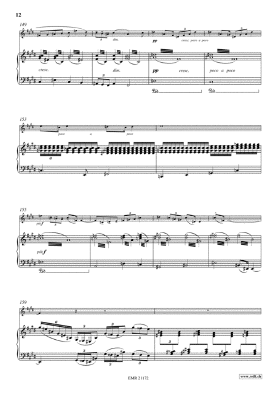 Concerto No. 2 Tenor Recorder scores gallery preview page 12