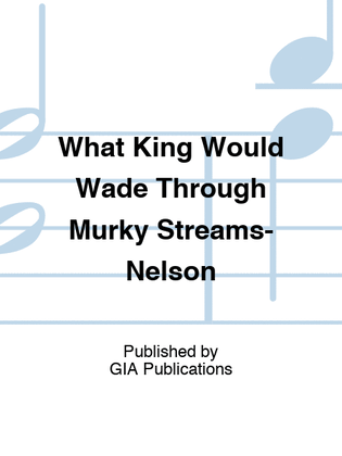 Book cover for What King Would Wade Through Murky Streams