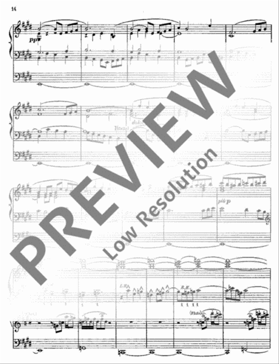 Siegfried-Idyll Organ scores gallery preview page 15