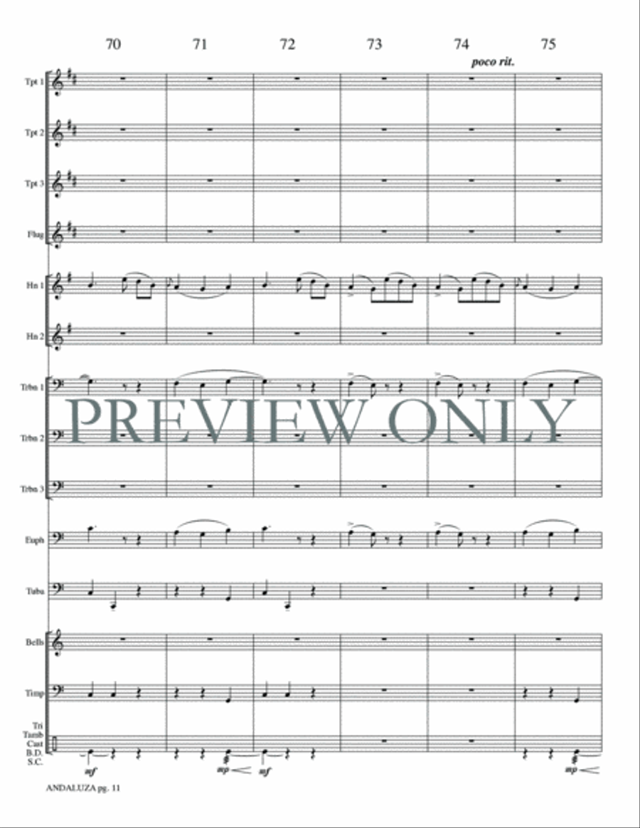 Andaluza Small Ensemble scores gallery preview page 13