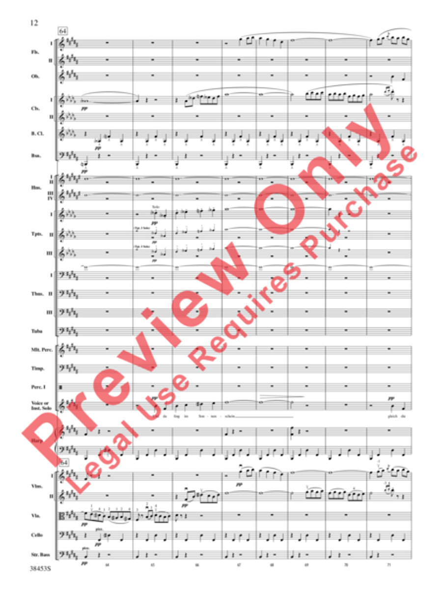 Ging heut Morgen übers Feld Full Orchestra scores gallery preview page 13