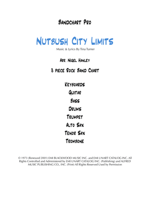 Book cover for Nutbush City Limits