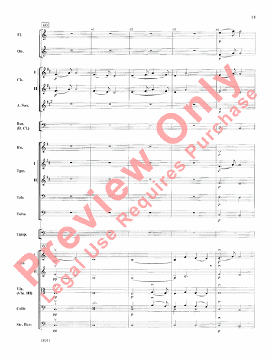 Largo Full Orchestra scores gallery preview page 14