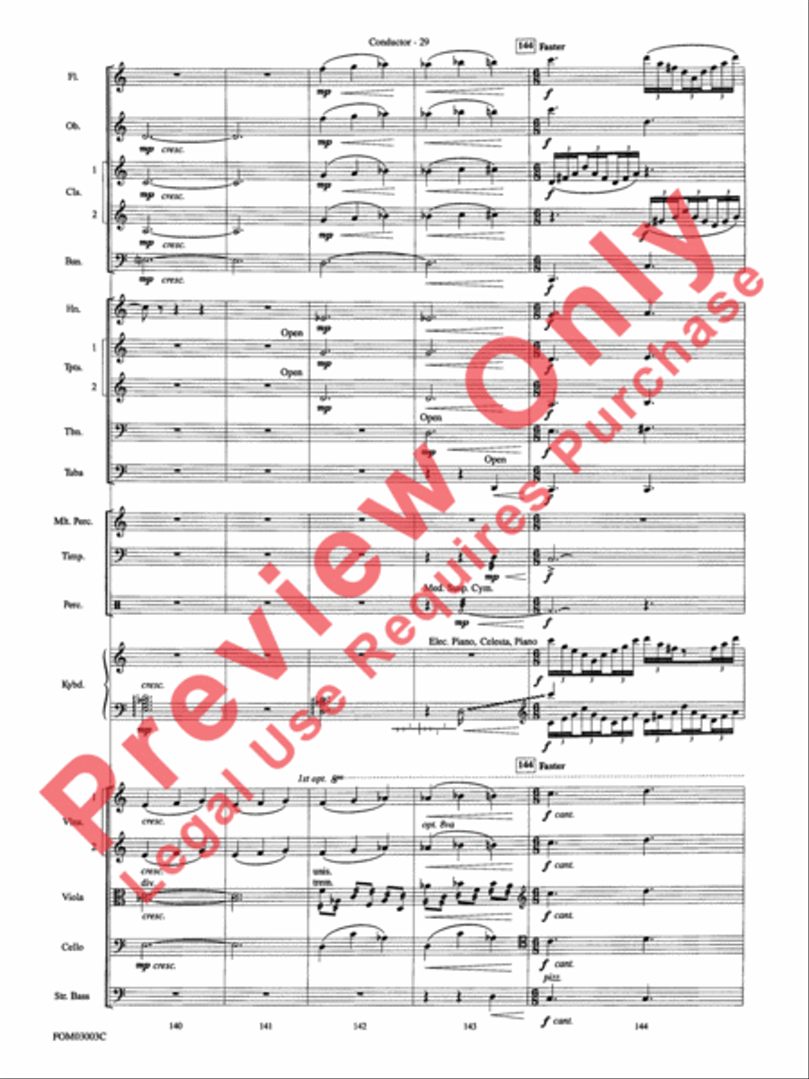 Harry Potter and the Chamber of Secrets, Themes from Full Orchestra scores gallery preview page 31