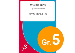 Book cover for Invisible Birds - Woodwind Trio