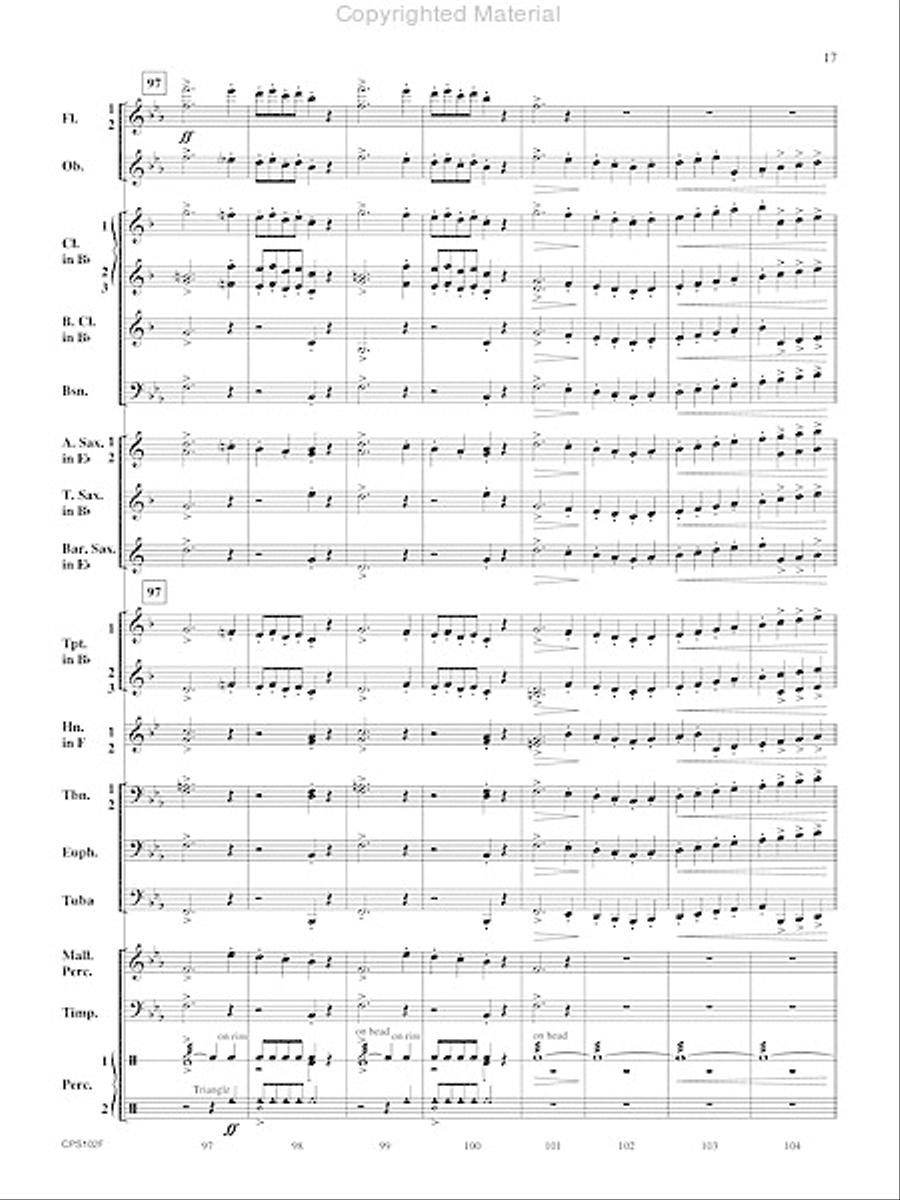 Rifle Regiment Rifle Regiment Concert Band scores gallery preview page 18
