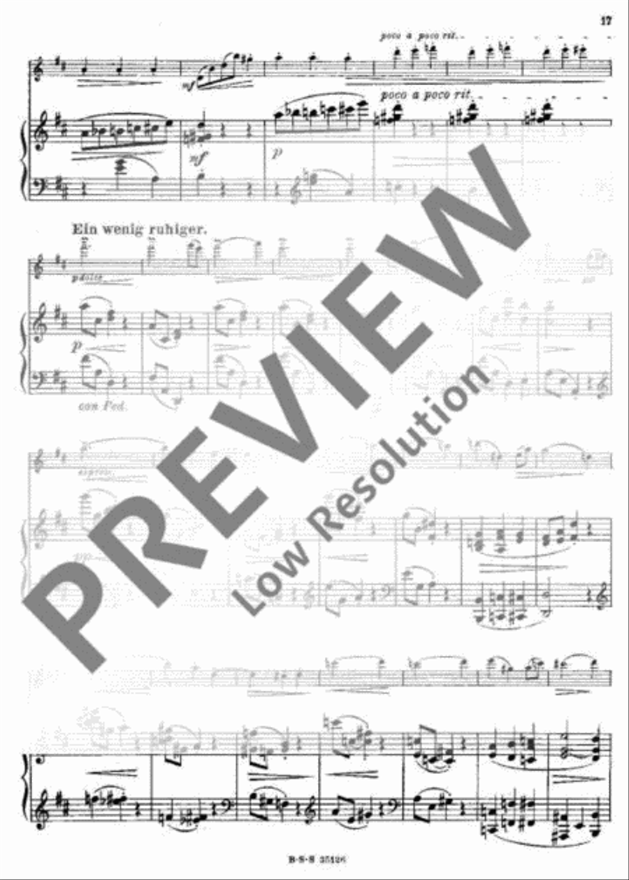 Grillen Violin Solo scores gallery preview page 17