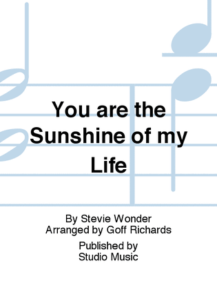 Book cover for You are the Sunshine of my Life