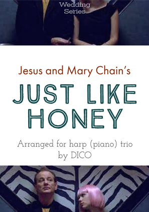 Book cover for Just Like Honey