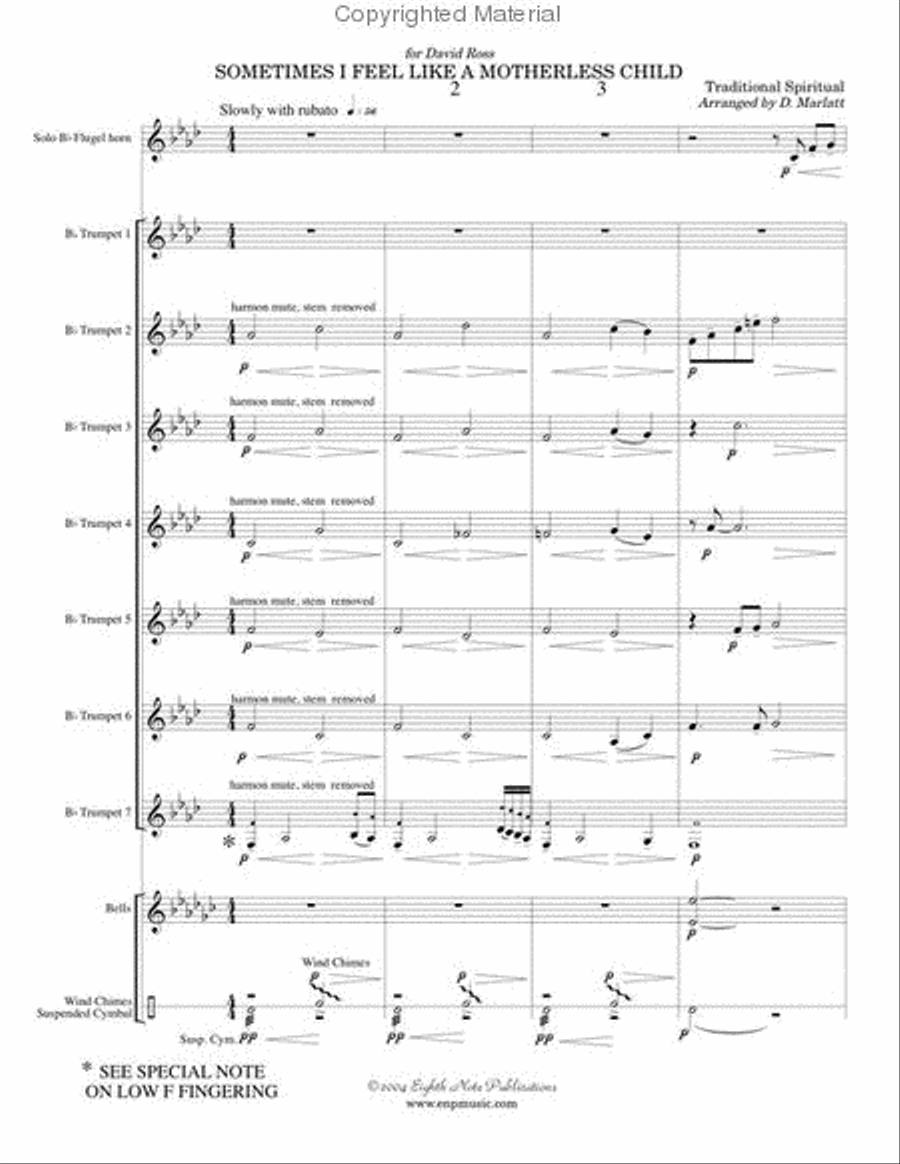 Sometimes I Feel Like a Motherless Child Small Ensemble scores gallery preview page 2