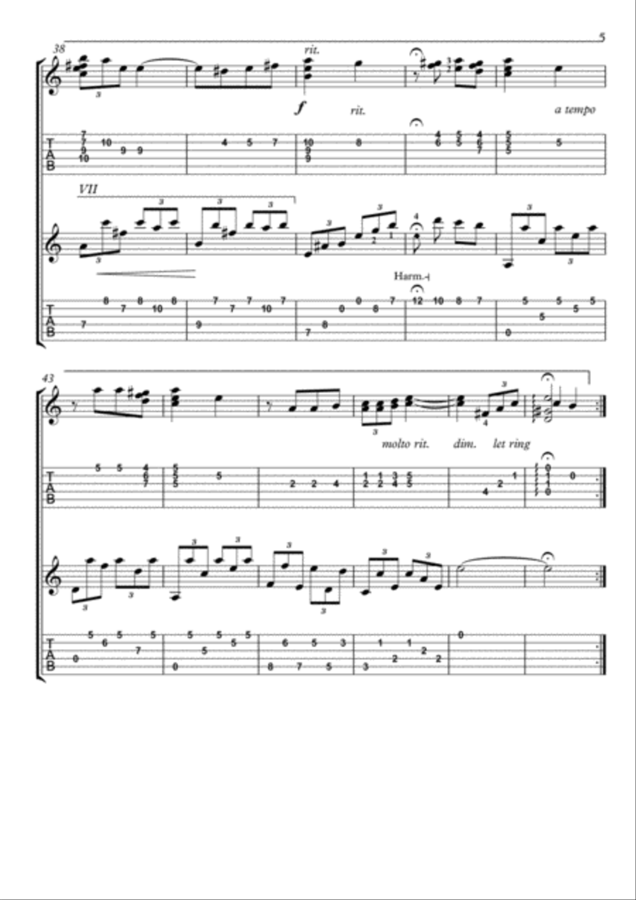 Triste by Aguirre Guitar duet image number null